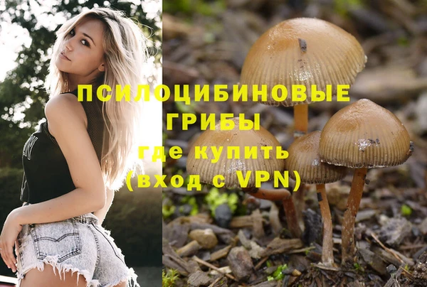 винт Богданович