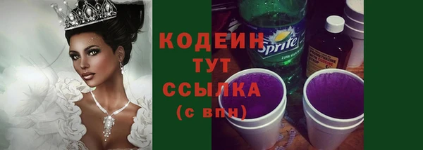 спиды Богородицк