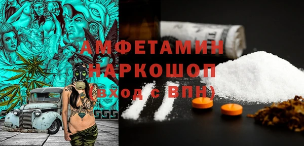 спиды Богородицк