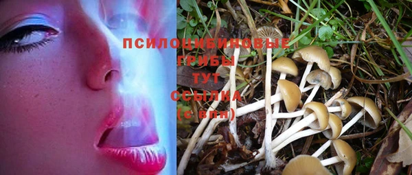 спиды Богородицк