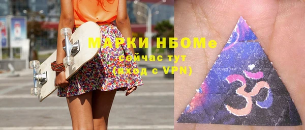 спиды Богородицк