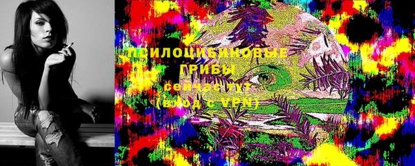 винт Богданович