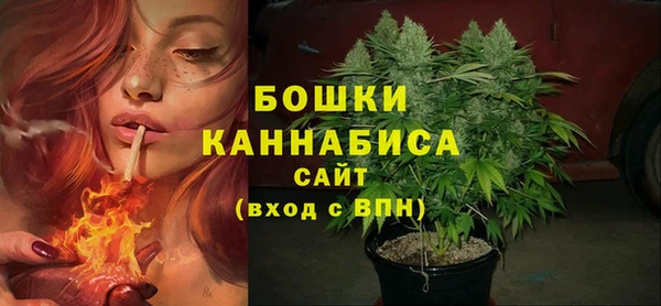 спиды Богородицк