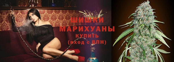винт Богданович