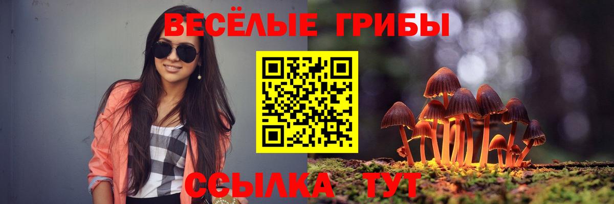 Галлюциногенные грибы мухоморы Губкинский