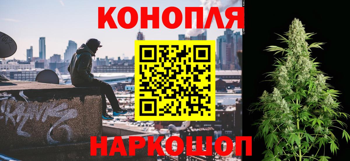Бошки Шишки сатива Губкинский